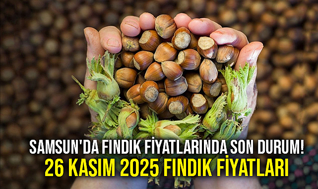 Samsun'da Fındık Fiyatlarında Son Durum! 26 Kasım 2025 Fındık Fiyatları