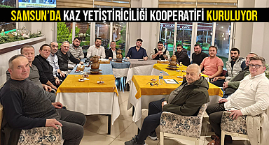 Samsun’da Kaz Yetiştiriciliği Kooperatifi Kuruluyor
