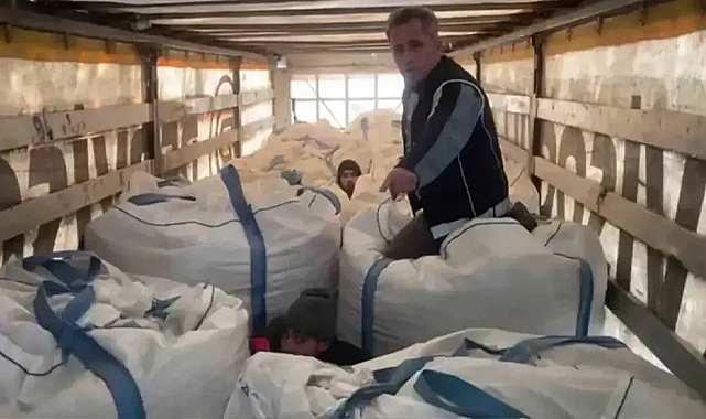 Amasya’da göçmen kaçakçılığı operasyonu: 13 göçmen yakalandı