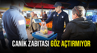 Canik Zabıtası Göz Açtırmıyor