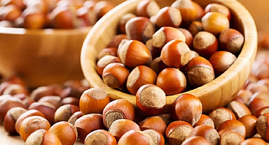 Fındık fiyatları tepetaklak gidiyor