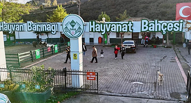 Giresun Belediyesi hayvan barınağı örnek çalışmaları