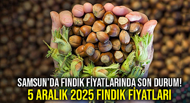 Samsun'da Fındık Fiyatlarında Son Durum! 5 Aralık 2025 Fındık Fiyatları