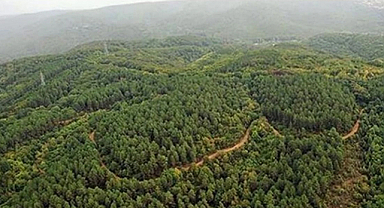 Türkiye’de doğal sit alanı 28 bin 907 kilometrekareye yükseldi