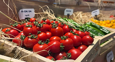 Türkiye Tohumda İhracatçı Ülke Konumunu Güçlendirdi