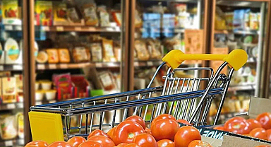 Aralık verileri satışlarda yükselişe işaret etti