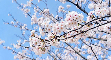 Baharın ikinci işareti: Cemre suya düşüyor