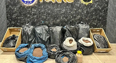 İstanbul’da kahveye emdirilmiş 370 kilo uyuşturucu yakalandı