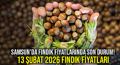 Samsun'da Fındık Fiyatlarında Son Durum! 13 Şubat 2026 Fındık Fiyatları