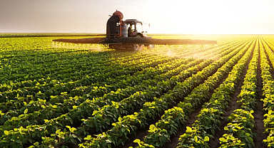 Tarımsal Destekleme Ödemeleri Hesaplara Aktarılıyor