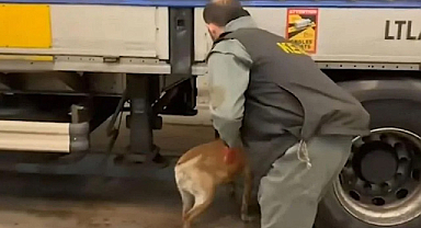 Türkiye genelinde uyuşturucu operasyonu: 1699 gözaltı