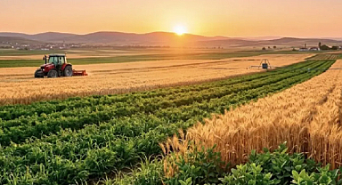 Çiftçilere destek ödemesi yarın hesaplara yatıyor