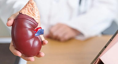 Dünya Böbrek Günü: 850 milyon kişiyi etkileyen hastalık