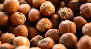 Fındık ihracatında 6 aylık gelir 1,17 milyar doları aştı