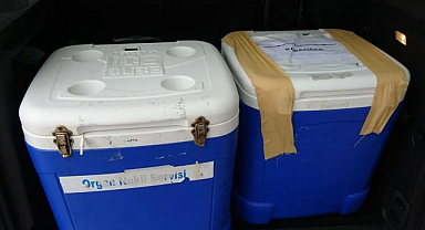 Genç kadının bağışı üç hastaya yaşam olacak