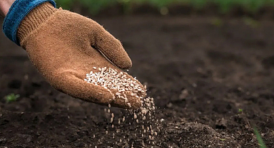 Gübre krizi iddialarına DMM'den yalanlama