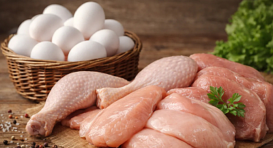 Ocakta tavuk eti ve yumurta üretiminde artış