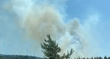 Osmaniye’nin Sumbas ilçesinde orman yangını