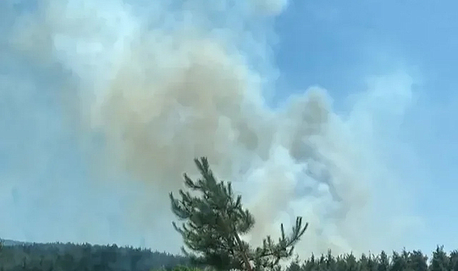 Osmaniye’nin Sumbas ilçesinde orman yangını