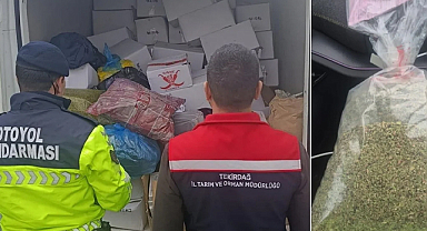 Tekirdağ’da 2 ton sağlıksız fıstık imha edildi