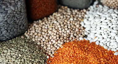 Türkiye’nin gıda ihracatı 2026'da 1,9 milyar dolara ulaştı