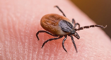 KKKA şüphesi: 21 yaşındaki genç hayatını kaybetti