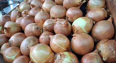 Kuru soğan ihracatı yıla hızlı başladı