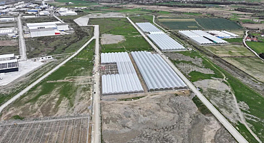 Samsun Sera Organize Tarım Bölgesi'nden Ekonomiye Büyük Katkı