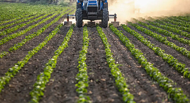 Tarımda bereket: Yağışlar 38 yılın rekorunu kırdı