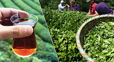 Türk Çayı İhracatında Rekor Artış: 3 Ayda 34,8 Milyon Dolar