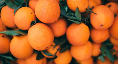 Turunçgil ihracatı 697,7 milyon dolara ulaştı