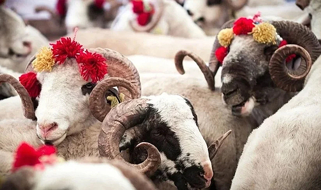 Vekaletle kurban kesim ücretleri açıklandı