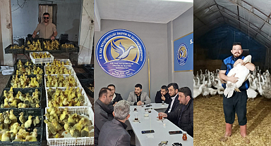 Samsun Büyükşehir Belediyesi'nin desteğiyle kaz yetiştiriciliği kalkınıyor