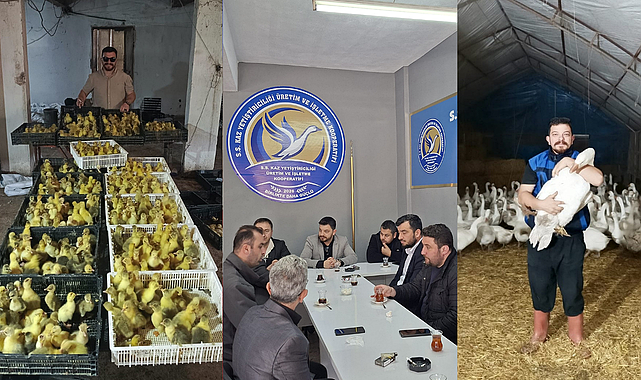 Samsun Büyükşehir Belediyesi'nin desteğiyle kaz yetiştiriciliği kalkınıyor
