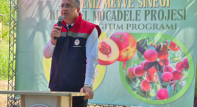 Samsun'da Akdeniz Meyve Sineğiyle Mücadelede 1600 Tuzak Dağıtıldı
