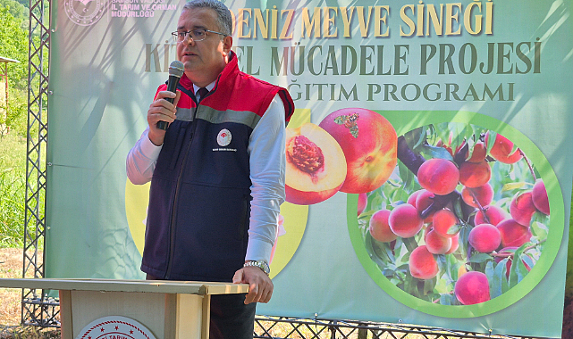 Samsun'da Akdeniz Meyve Sineğiyle Mücadelede 1600 Tuzak Dağıtıldı