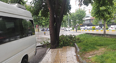 Şiddetli Yağış Sonrası Ağaç Devrildi Araçlar Hasar Gördü