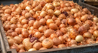 Kuru soğan ithalatına geçici vergi indirimi