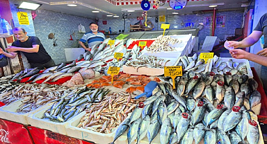 Av Yasağı Sona Erdi, Balık Tezgahları Şenlendi