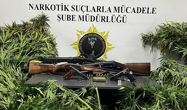 Samsun Polisinin Uyuşturucuyla Mücadelesinde Peş Peşe Operasyonlar