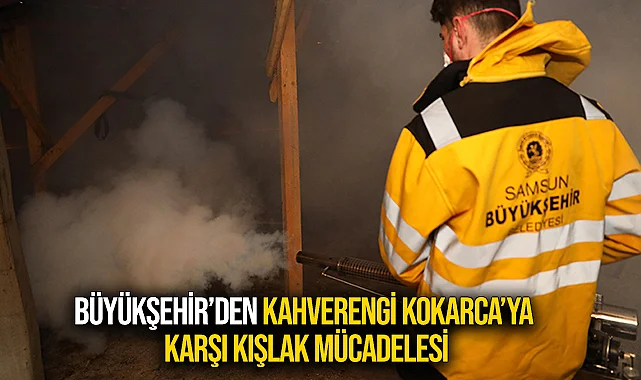 Büyükşehir’den Kahverengi Kokarca’ya Karşı Kışlak Mücadelesi