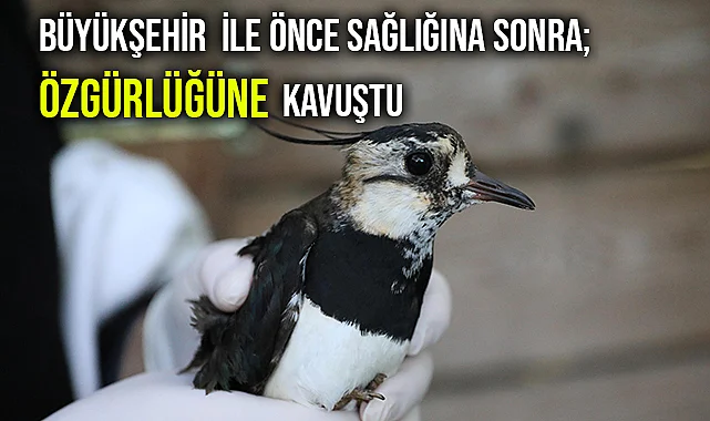 Büyükşehir İle Önce Sağlığına Sonra Özgürlüğüne Kavuştu