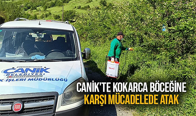 Canik'te Kokarca Böceğine Karşı Mücadelede Atak