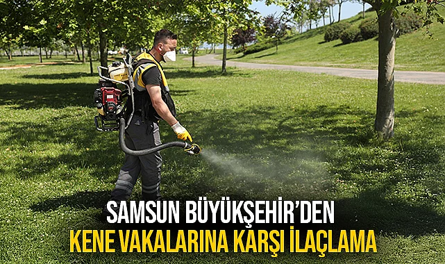 Samsun Büyükşehir’den Kene Vakalarına Karşı İlaçlama