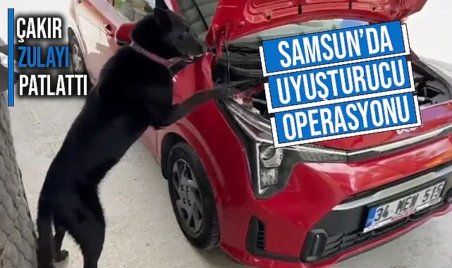 Samsun’da Uyuşturucu Operasyonu! Çakır Zulayı Paylattı