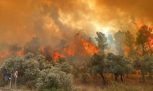 5 İlde Orman Yangınlarıyla Mücadele Sürüyor
