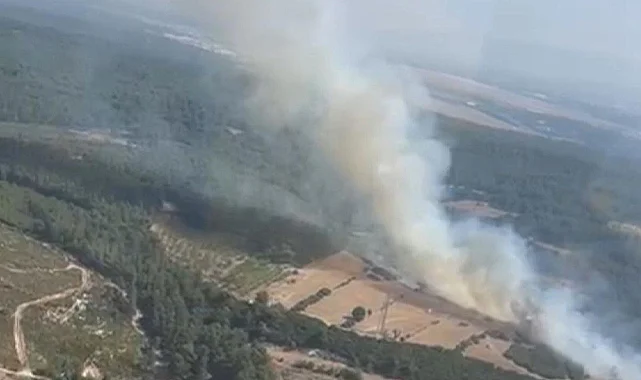 İzmir Buca’da Orman Yangını: Havadan ve Karadan Müdahale Sürüyor