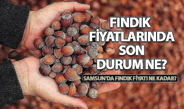 Samsun'da Fındık Fiyatlarında Son Durum! 19 Temmuz 2025 Fındık Fiyatları