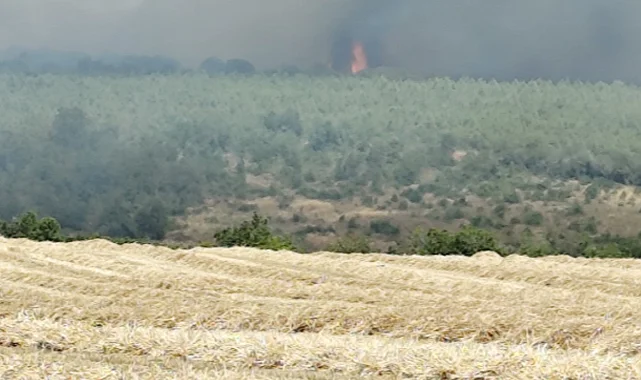 Silivri’de otluk alanda başlayan yangın ormana sıçradı