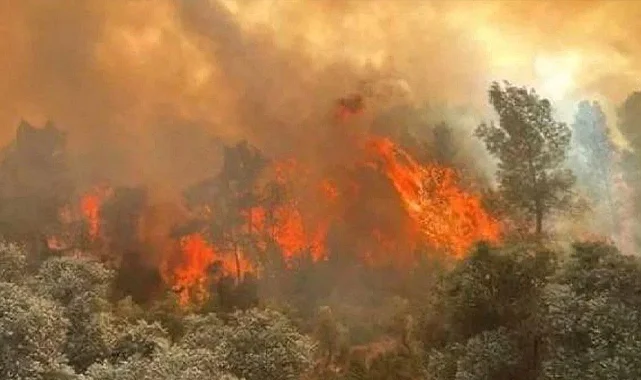Son 15 Günde Yangınlarla İlgili 17 Kişi Tutuklandı